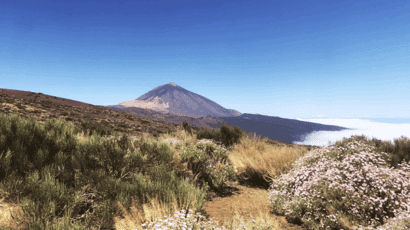 Teneryfa informacje praktyczne