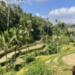 Bali - restrykcje