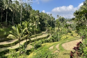 Bali - restrykcje