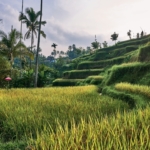 gdzie zatrzymać się na bali