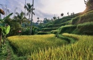 gdzie zatrzymać się na bali