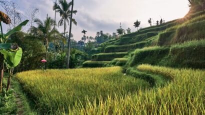 gdzie zatrzymać się na bali
